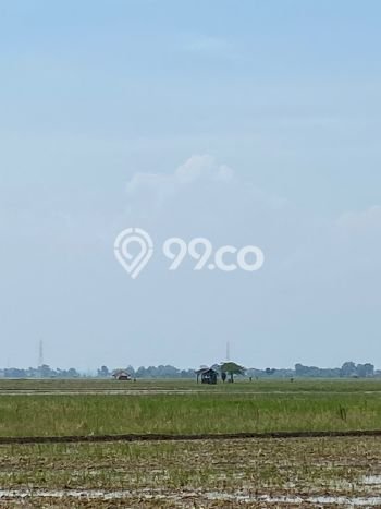 Dijual Tanah di Subang, Luas 24500m2 SHM Dijual Tanah di Subang, Luas 24500m2 SHM