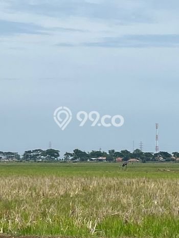 Dijual Tanah di Subang, Luas 24500m2 SHM Dijual Tanah di Subang, Luas 24500m2 SHM