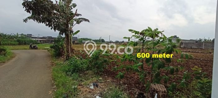 Untuk Dijual Tanah 600m2 di Bojong, Bogor Untuk Dijual Tanah 600m2 di Bojong, Bogor