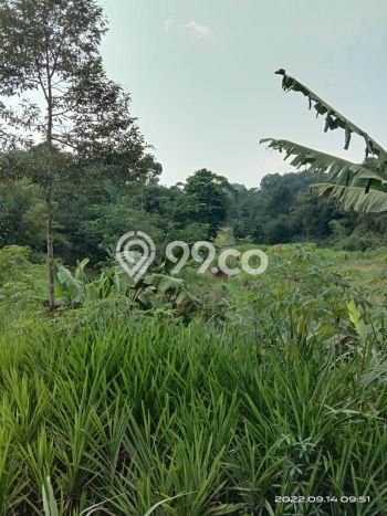 Kavling Tanah di Caringin Dijual Luas 8100m2 Legalitas - Kavling Tanah di Caringin Dijual Luas 8100m2 Legalitas -