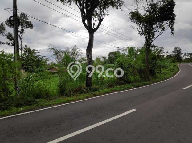 Lahan Investasi Lokasi Prigen Pasuruan SHM Lahan Investasi Lokasi Prigen Pasuruan SHM