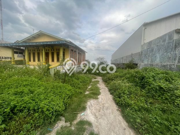 Lahan Investasi Lokasi Purwosari Pasuruan SHM Lahan Investasi Lokasi Purwosari Pasuruan SHM