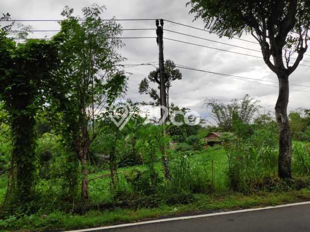 Lahan Investasi Lokasi Prigen Pasuruan SHM Lahan Investasi Lokasi Prigen Pasuruan SHM