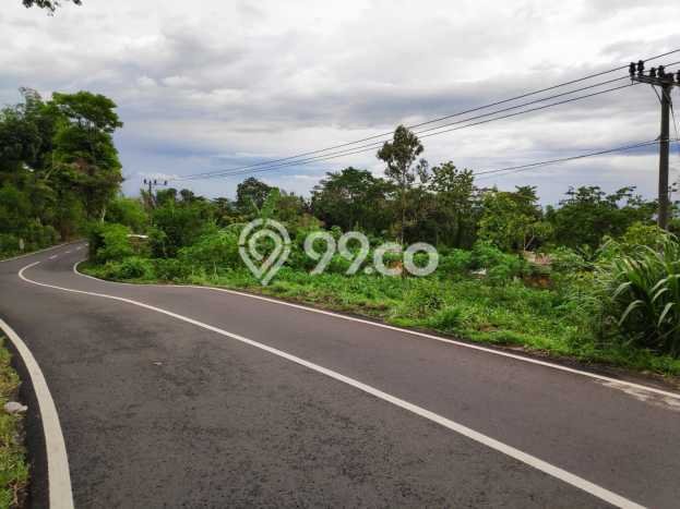 Lahan Investasi Lokasi Prigen Pasuruan SHM Lahan Investasi Lokasi Prigen Pasuruan SHM