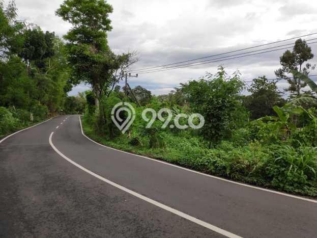 Lahan Investasi Lokasi Prigen Pasuruan SHM Lahan Investasi Lokasi Prigen Pasuruan SHM