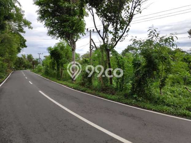 Lahan Investasi Lokasi Prigen Pasuruan SHM Lahan Investasi Lokasi Prigen Pasuruan SHM