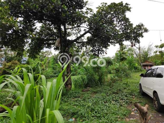 Lahan Investasi Lokasi Prigen Pasuruan SHM Lahan Investasi Lokasi Prigen Pasuruan SHM