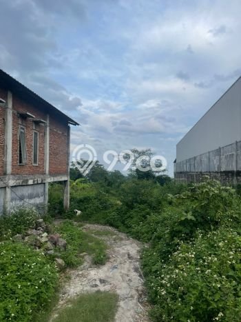 Lahan Investasi Lokasi Purwosari Pasuruan SHM Lahan Investasi Lokasi Purwosari Pasuruan SHM