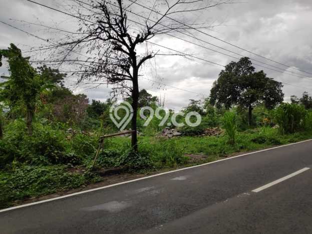 Lahan Investasi Lokasi Prigen Pasuruan SHM Lahan Investasi Lokasi Prigen Pasuruan SHM