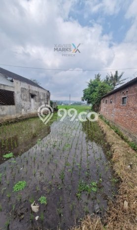 Jarang Ada! Tanah di Pakis Punya Luas 3170m2 SHM Jarang Ada! Tanah di Pakis Punya Luas 3170m2 SHM