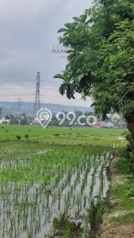 Jarang Ada! Tanah di Pakis Punya Luas 3170m2 SHM Jarang Ada! Tanah di Pakis Punya Luas 3170m2 SHM