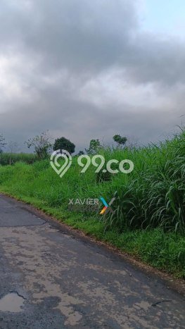 Lahan Investasi Lokasi Pakis Malang SHM Lahan Investasi Lokasi Pakis Malang SHM