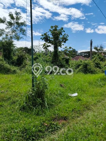 Tanah Strategis Dijual di Pakis Malang 84m2 Tanah Strategis Dijual di Pakis Malang 84m2