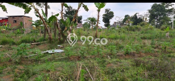 Tanah Dijual Lokasi Batu, Batu Luas 200m2 Legalitas Aman Tanah Dijual Lokasi Batu, Batu Luas 200m2 Legalitas Aman