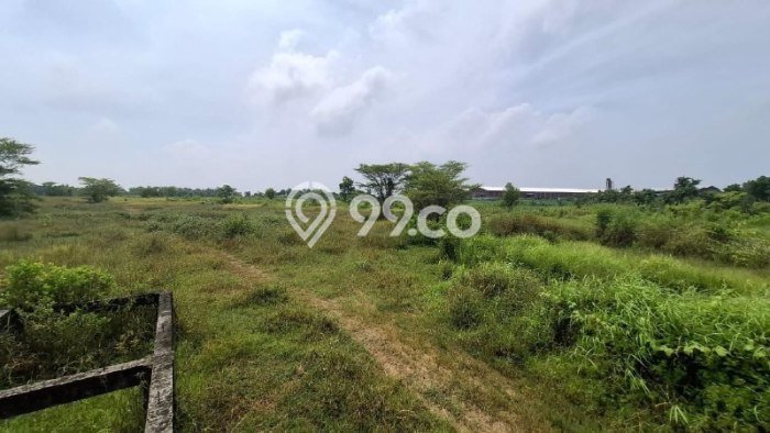Lahan untuk Dijual Lokasi Lamongan, Lamongan Luas 96309m2 SHM Lahan untuk Dijual Lokasi Lamongan, Lamongan Luas 96309m2 SHM