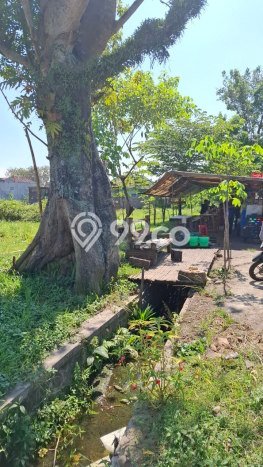 Tanah Dijual Lokasi Pakisaji, Malang dengan Luas Tanah 4597m2 dan Status SHM Tanah Dijual Lokasi Pakisaji, Malang dengan Luas Tanah 4597m2 dan Status SHM