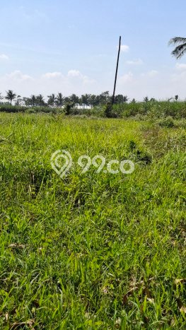 Tanah Dijual Lokasi Pakisaji, Malang dengan Luas Tanah 4597m2 dan Status SHM Tanah Dijual Lokasi Pakisaji, Malang dengan Luas Tanah 4597m2 dan Status SHM