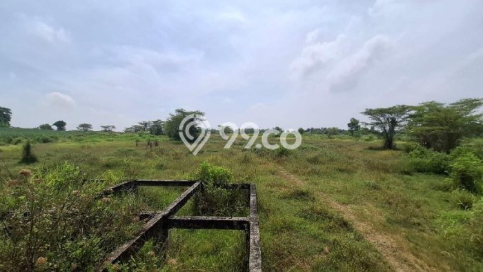 Lahan untuk Dijual Lokasi Lamongan, Lamongan Luas 96309m2 SHM Lahan untuk Dijual Lokasi Lamongan, Lamongan Luas 96309m2 SHM