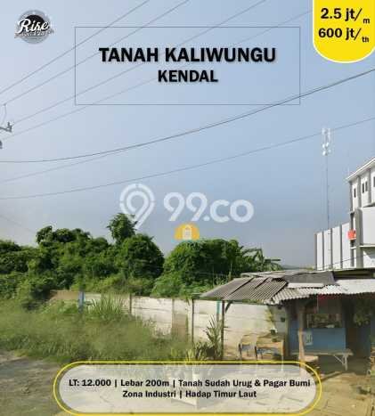 Tanah Disewakan di Kaliwungu, Semarang, Luas 12000m2 SHM Tanah Disewakan di Kaliwungu, Semarang, Luas 12000m2 SHM