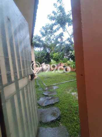 Disewakan Segera Rumah Kondisi Baik di Kawasan Tembalang, Semarang Disewakan Segera Rumah Kondisi Baik di Kawasan Tembalang, Semarang