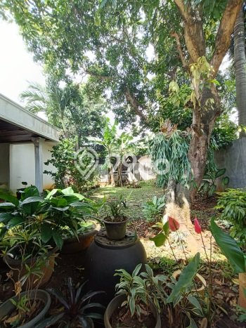 Dijual Hunian Mewah dengan Fasilitas Sekitar Komplit di Cilandak, Jakarta Selatan Dijual Hunian Mewah dengan Fasilitas Sekitar Komplit di Cilandak, Jakarta Selatan
