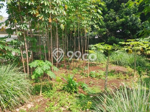 Unit Komersial Dijual di Cileungsi Bogor Luas Tanah 450m2, Luas Bangunan 56m2 Unit Komersial Dijual di Cileungsi Bogor Luas Tanah 450m2, Luas Bangunan 56m2