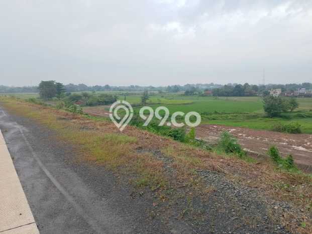 Jarang Ada! Tanah di Serang Baru Punya Luas 560000m2 SHM Jarang Ada! Tanah di Serang Baru Punya Luas 560000m2 SHM