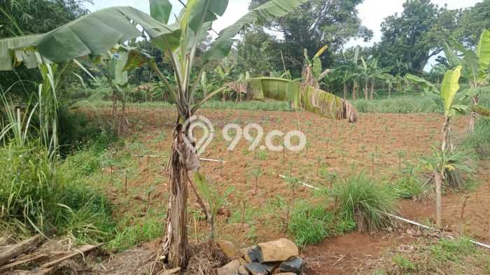 Kavling Tanah Dijual di Citeureup Bogor Spesifikasi 50000m2 Kavling Tanah Dijual di Citeureup Bogor Spesifikasi 50000m2