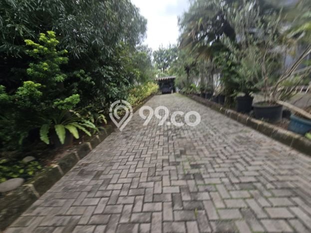 Rumah Elit Modern Siap Huni di Kemang Jakarta Selatan Rumah Elit Modern Siap Huni di Kemang Jakarta Selatan