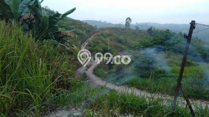Kavling Tanah Dijual di Sukanagara, Cianjur, Luas 128000m2 Area Strategis Kavling Tanah Dijual di Sukanagara, Cianjur, Luas 128000m2 Area Strategis