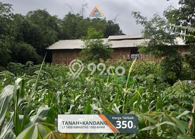 Lahan untuk Dijual di Nyalindung Sukabumi Luas 1600m2 Lahan untuk Dijual di Nyalindung Sukabumi Luas 1600m2