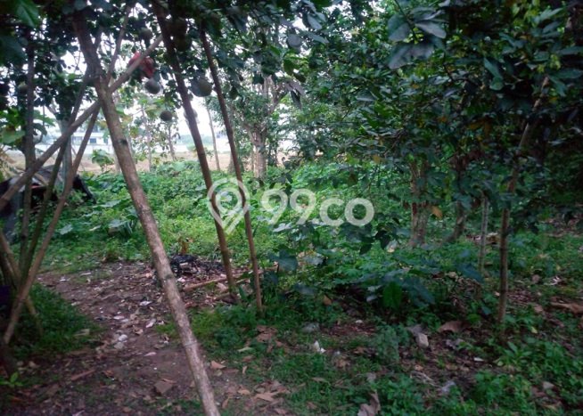 Tanah Dijual Lokasi Strategis di Bekasi dengan Luas 408m2 Tanah Dijual Lokasi Strategis di Bekasi dengan Luas 408m2
