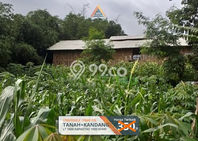 Tanah di Nyalindung, Sukabumi Luas 1600m2 Dijual Segera Tanah di Nyalindung, Sukabumi Luas 1600m2 Dijual Segera