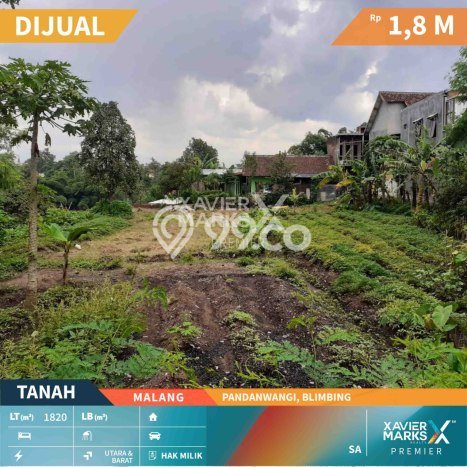 Jarang Ada! Tanah di Blimbing Punya Luas 1820m2 SHM Jarang Ada! Tanah di Blimbing Punya Luas 1820m2 SHM