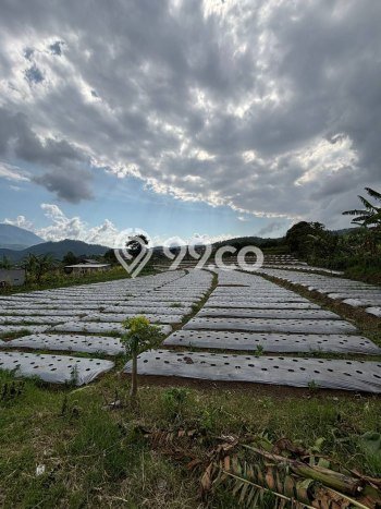 Lahan Dijual Lokasi Bumiaji, Batu dengan Luas Tanah 4200m2 dan Status SHM Lahan Dijual Lokasi Bumiaji, Batu dengan Luas Tanah 4200m2 dan Status SHM
