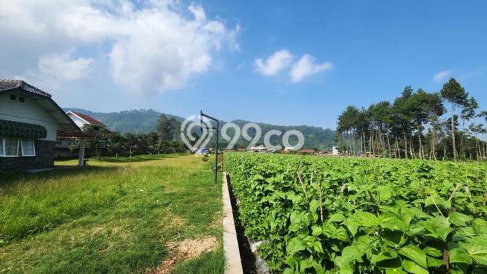 Untuk Dijual Tanah di Lembang Bandung Barat Luas 7276m2 SHM Untuk Dijual Tanah di Lembang Bandung Barat Luas 7276m2 SHM