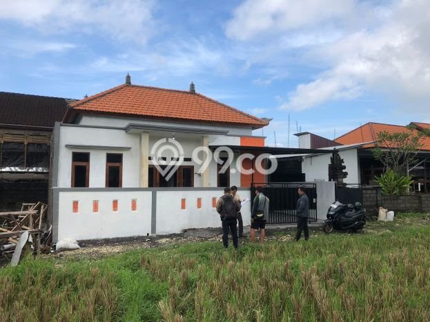 Hunian Nyaman Asri 2 KT Siap Pakai di Dauhpeken Tabanan Hunian Nyaman Asri 2 KT Siap Pakai di Dauhpeken Tabanan