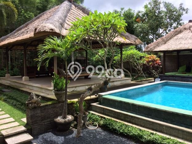 HARGA TERBAIK! Vila Kawasan Ubud, Luas 1150m2m², Kawasan Berkembang dengan nilai naik HARGA TERBAIK! Vila Kawasan Ubud, Luas 1150m2m², Kawasan Berkembang dengan nilai naik