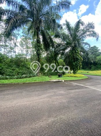 Tanah Dijual Lokasi Strategis di Bogor dengan Luas 3816m2 Tanah Dijual Lokasi Strategis di Bogor dengan Luas 3816m2