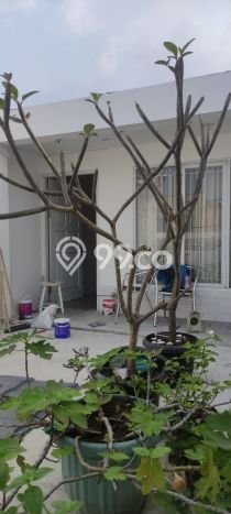 Ruko Dijual di Bogor LT 60m2 & LB 220m2 Lokasi Terbaik! Ruko Dijual di Bogor LT 60m2 & LB 220m2 Lokasi Terbaik!