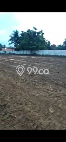 Untuk Dijual Tanah di Pekanbaru Kota Pekanbaru Luas 9650m2 SHM Untuk Dijual Tanah di Pekanbaru Kota Pekanbaru Luas 9650m2 SHM