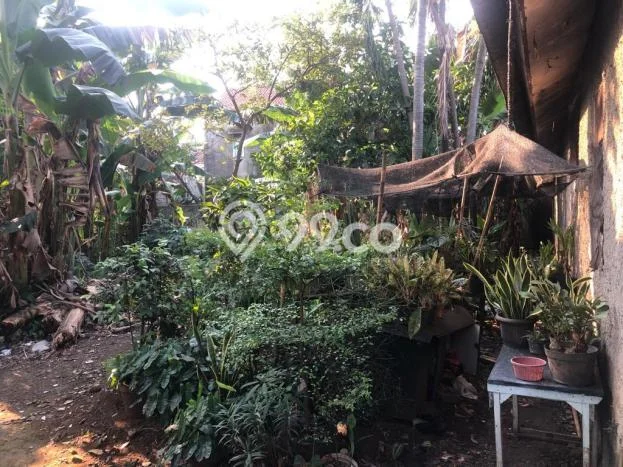 Tanah Kavling untuk Dijual di Pasar Minggu Jakarta Selatan 3960m2 Tanah Kavling untuk Dijual di Pasar Minggu Jakarta Selatan 3960m2