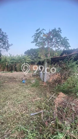 Kavling Tanah di Pasar Minggu Dijual Luas 3115m2 Legalitas SHM Kavling Tanah di Pasar Minggu Dijual Luas 3115m2 Legalitas SHM