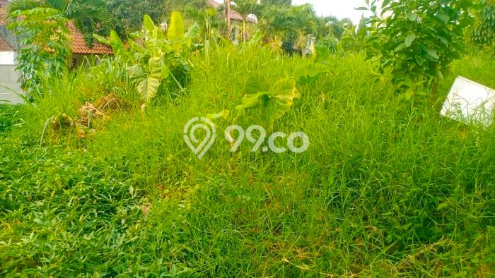 Tanah Investasi Dijual di Bandung Punya Luas 1700m2 Tanah Investasi Dijual di Bandung Punya Luas 1700m2