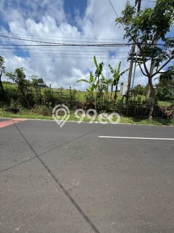 Tanah Komersial Dijual di Tutur Pasuruan 70000m2 Tanah Komersial Dijual di Tutur Pasuruan 70000m2