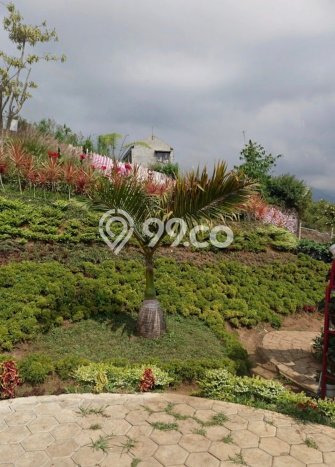 Komersial Dijual di Kawasan Pujon, Malang Harga Kompetitif Komersial Dijual di Kawasan Pujon, Malang Harga Kompetitif