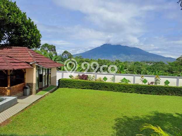 Investasi Potensial! Vila di , Dimensi 1850m2m², Lokasi Premium Investasi Potensial! Vila di , Dimensi 1850m2m², Lokasi Premium