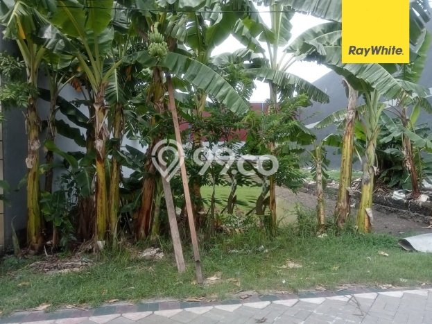 Kavling Tanah di Kenjeran Dijual Luas 320m2 Legalitas SHM Kavling Tanah di Kenjeran Dijual Luas 320m2 Legalitas SHM