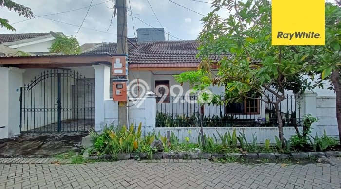 Disewakan Rumah Konsep Modern di Mulyorejo Surabaya dengan 4 Kamar Disewakan Rumah Konsep Modern di Mulyorejo Surabaya dengan 4 Kamar