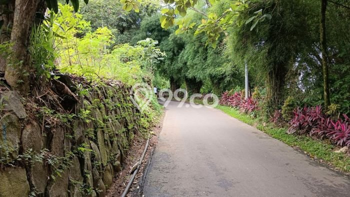 Tanah Kavling Dijual di Bogor dengan Spesifikasi 2360m2 Tanah Kavling Dijual di Bogor dengan Spesifikasi 2360m2